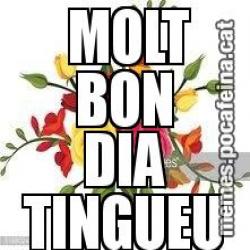 MOLT BON DIA TINGUEU