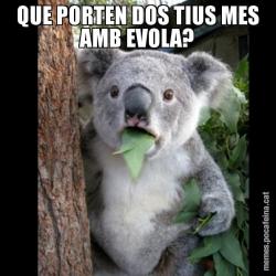QUE PORTEN DOS TIUS MES AMB EVOLA?