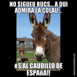 NO SIGUEU RUCS... A QUI ADMIRA LA COLAU... éS AL CAUDILLO DE ESPAñA!!