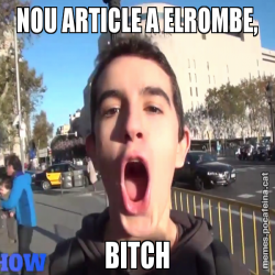 NOU ARTICLE A ELROMBE, BITCH