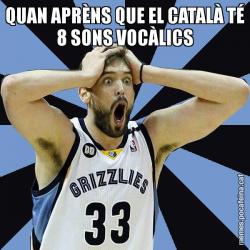 QUAN APRÈNS QUE EL CATALÀ TÉ 8 SONS VOCÀLICS