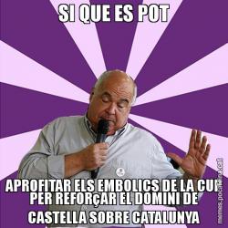 SI QUE ES POT APROFITAR ELS EMBOLICS DE LA CUP PER REFORçAR EL DOMINI DE CASTELLA SOBRE CATALUNYA