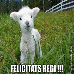 FELICITATS REGI !!!
