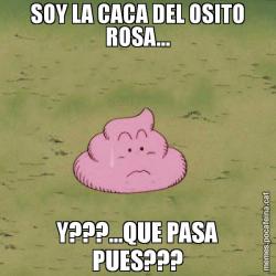 SOY LA CACA DEL OSITO ROSA... Y???...QUE PASA PUES???