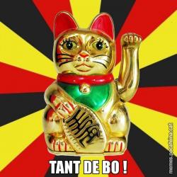 TANT DE BO !