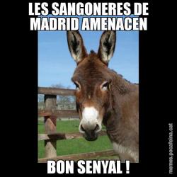 LES SANGONERES DE MADRID AMENACEN BON SENYAL !