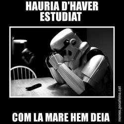 HAURIA D'HAVER ESTUDIAT  COM LA MARE HEM DEIA