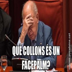 QUÈ COLLONS ÉS UN FACEPALM?