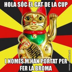 HOLA SÓC EL GAT DE LA CUP I NOMÉS M'HAN PORTAT PER FER LA BROMA
