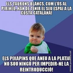 ELS TAURONS BLANCS, COM L’ÓS AL PIRINEU, HAN DE TENIR EL SEU ESPAI A LA COSTA CATALANA! ELS PIXAPINS QUE ANEU A LA PLATJA NO SOU NINGÚ PER IMPEDIR-NE LA REINTRODUCCIÓ!