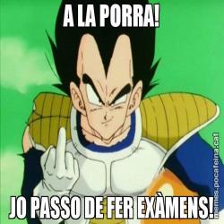 A LA PORRA! JO PASSO DE FER EXÀMENS!