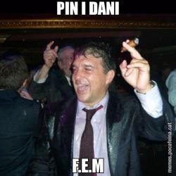 PIN I DANI F.E.M