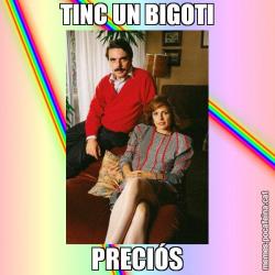 TINC UN BIGOTI PRECIÓS