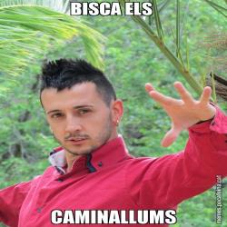 BISCA ELS  CAMINALLUMS