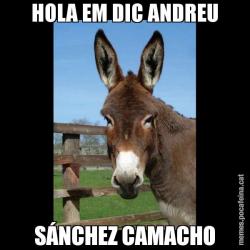 HOLA EM DIC ANDREU SÁNCHEZ CAMACHO