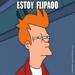 ESTOY  FLIPAOO