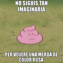 NO SIGUIS TAN IMAGINÀRIA PER VEUERE UNA MERDA DE COLOR ROSA