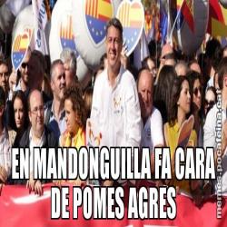EN MANDONGUILLA FA CARA DE POMES AGRES