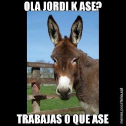OLA JORDI K ASE? TRABAJAS O QUE ASE