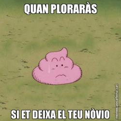 QUAN PLORARÀS SI ET DEIXA EL TEU NÒVIO