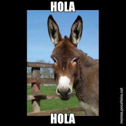 HOLA HOLA