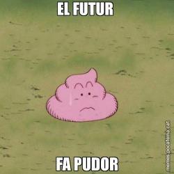 EL FUTUR  FA PUDOR
