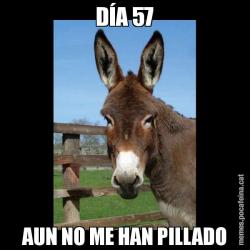 DÍA 57 AUN NO ME HAN PILLADO