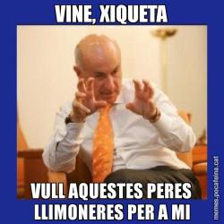 VINE, XIQUETA VULL AQUESTES PERES LLIMONERES PER A MI