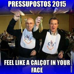 PRESSUPOSTOS 2015 FEEL LIKE A CALÇOT IN YOUR FACE