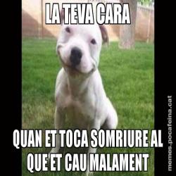 LA TEVA CARA QUAN ET TOCA SOMRIURE AL QUE ET CAU MALAMENT