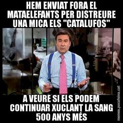 HEM ENVIAT FORA EL MATAELEFANTS PER DISTREURE UNA MICA ELS "CATALUFOS" A VEURE SI ELS PODEM CONTINUAR XUCLANT LA SANG 500 ANYS MÉS
