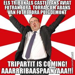 ELS TRIBUNALS CASTELLANS AVIAT FOTRAN FORA  TORRA COM ABANS VAN FOTRE FORA PUIGDEMONT TRIPARTIT IS COMING! AAARRRIBAASPAANYAAA!!!