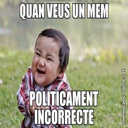 QUAN VEUS UN MEM POLITICAMENT INCORRECTE