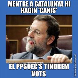 MENTRE A CATALUNYA HI HAGIN 'CANIS' EL PPSOEC'S TINDREM VOTS