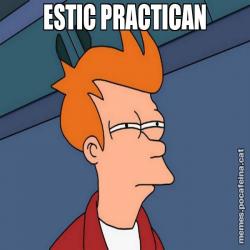 ESTIC PRACTICAN