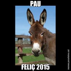 PAU FELIÇ 2015