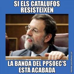 SI ELS CATALUFOS RESISTEIXEN LA BANDA DEL PPSOEC’S ESTÀ ACABADA