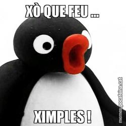 XÒ QUE FEU ... XIMPLES !