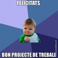 FELICITATS  BON PROJECTE DE TREBALL
