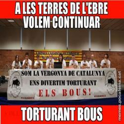 A LES TERRES DE L'EBRE VOLEM CONTINUAR TORTURANT BOUS