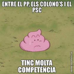 ENTRE EL PP, ELS COLONO'S I EL PSC TINC MOLTA COMPETÈNCIA