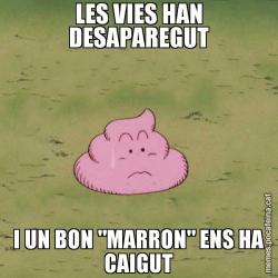 LES VIES HAN DESAPAREGUT I UN BON "MARRON" ENS HA CAIGUT