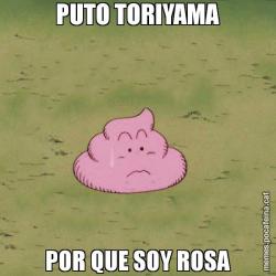 PUTO TORIYAMA POR QUE SOY ROSA