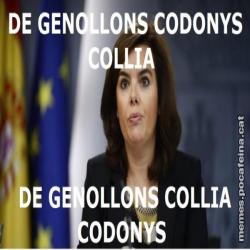 Meme 3pfu7j