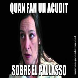 QUAN FAN UN ACUDIT SOBRE EL PALLASSO