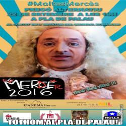 TOTHOM AL PLA DE PALAU!