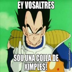 EY VOSALTRES SOU UNA COLLA DE XIMPLES!