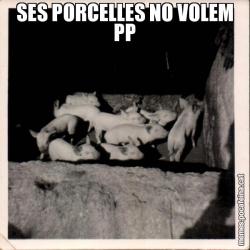 SES PORCELLES NO VOLEM PP