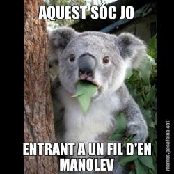 AQUEST SÓC JO ENTRANT A UN FIL D'EN MANOLEV