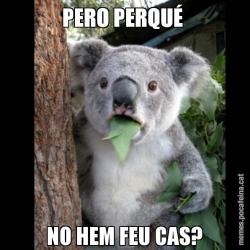 PERO PERQUÉ  NO HEM FEU CAS?
